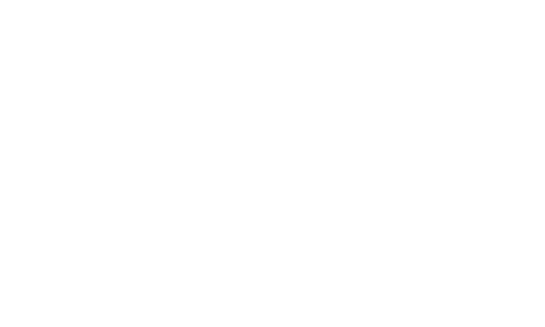 DSS Logo